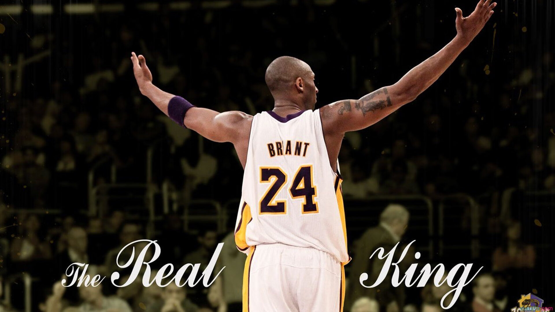 “拳击赛事逆转剧情：四川省体育馆重磅对决，一切皆有可能”